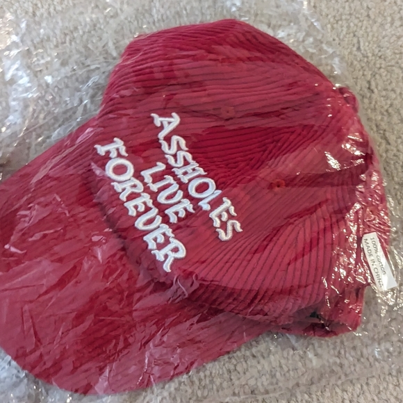 ASSHOLES LIVE FOREVER Red Corduroy Dad Hat - Picture 6 of 8